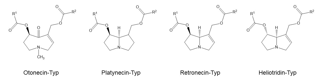 Pyrrolizidinal-kaloide