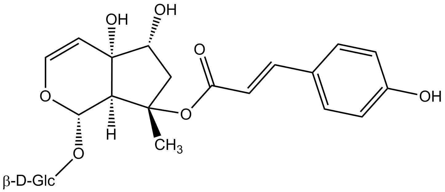 8-p-Cumaroylharpagid phyproof® Referenzsubstanz | PhytoLab