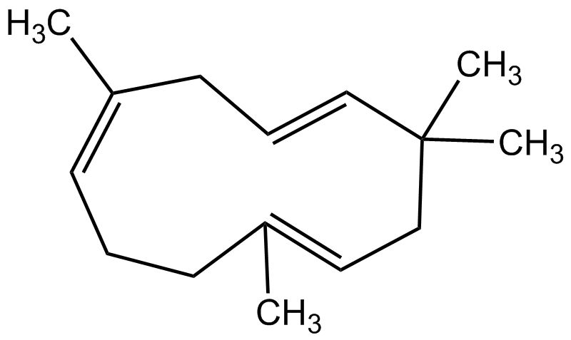 α-Humulen phyproof® Referenzsubstanz | PhytoLab