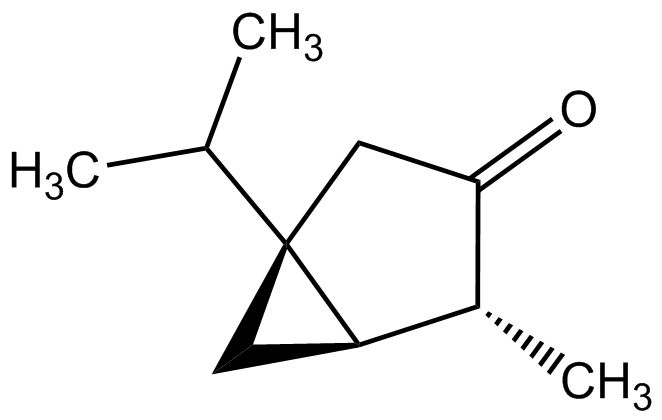 (-)-α-Thujon phyproof® Referenzsubstanz | PhytoLab