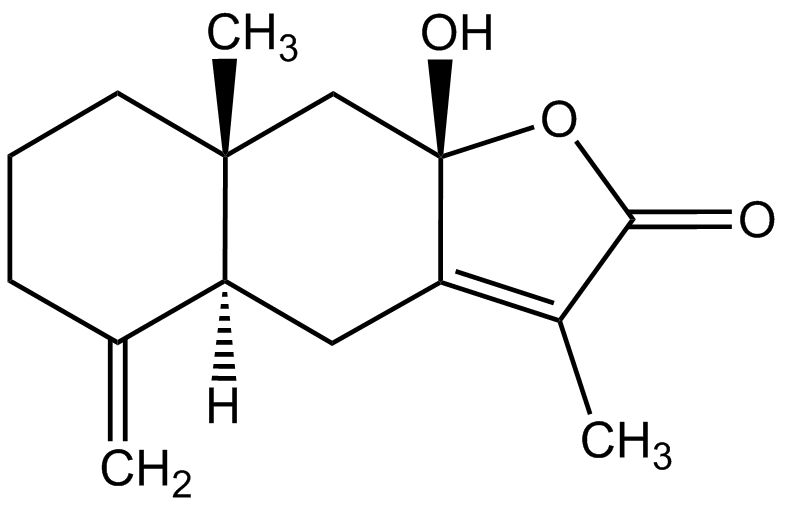 Atractylenolid III phyproof® Referenzsubstanz | PhytoLab