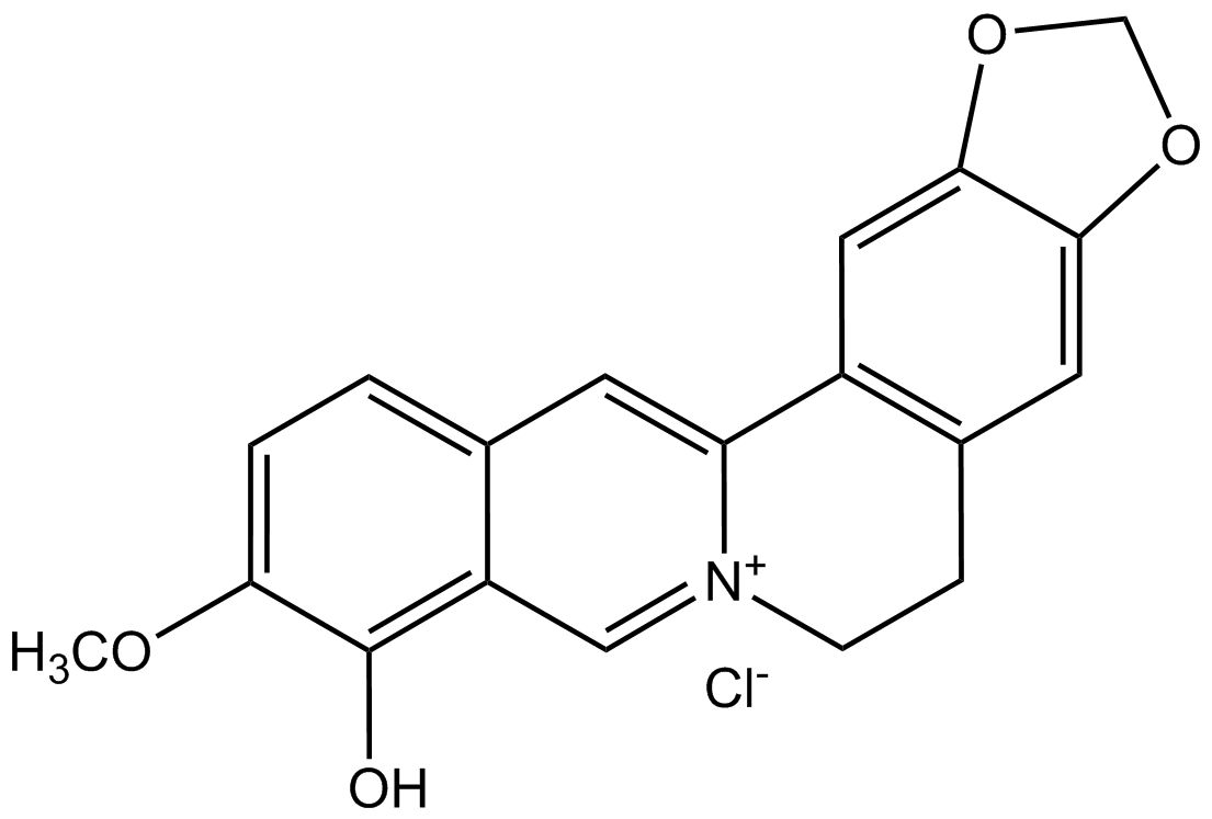 Berberrubine chloride phyproof® Reference Substance | PhytoLab