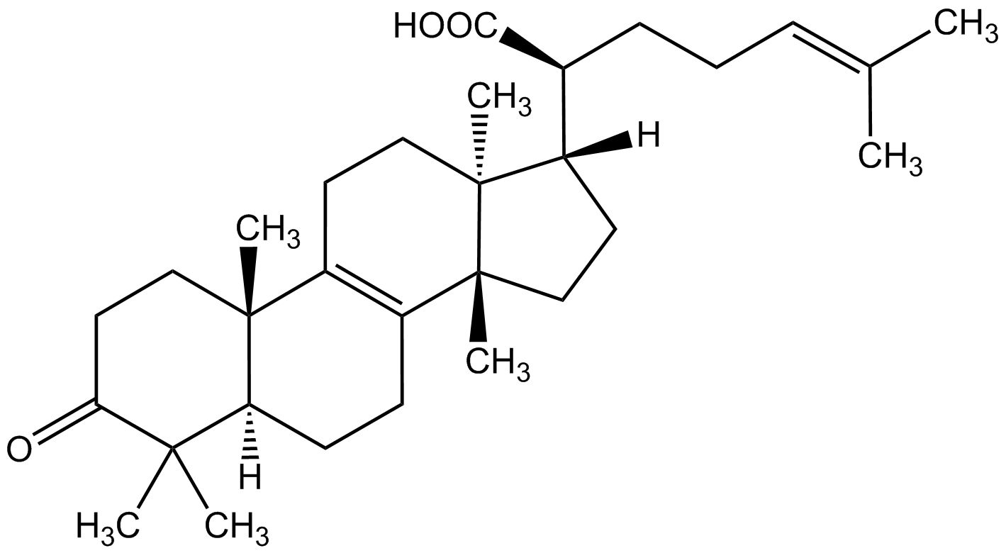 β-Elemonsäure phyproof® Referenzsubstanz | PhytoLab