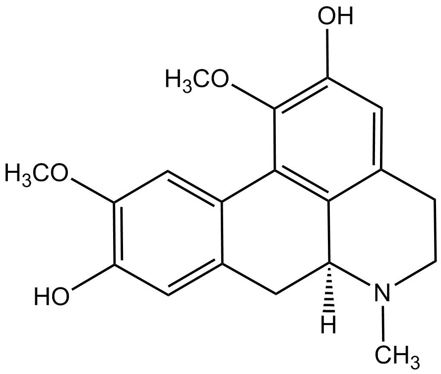 Boldine phyproof® Reference Substance | PhytoLab