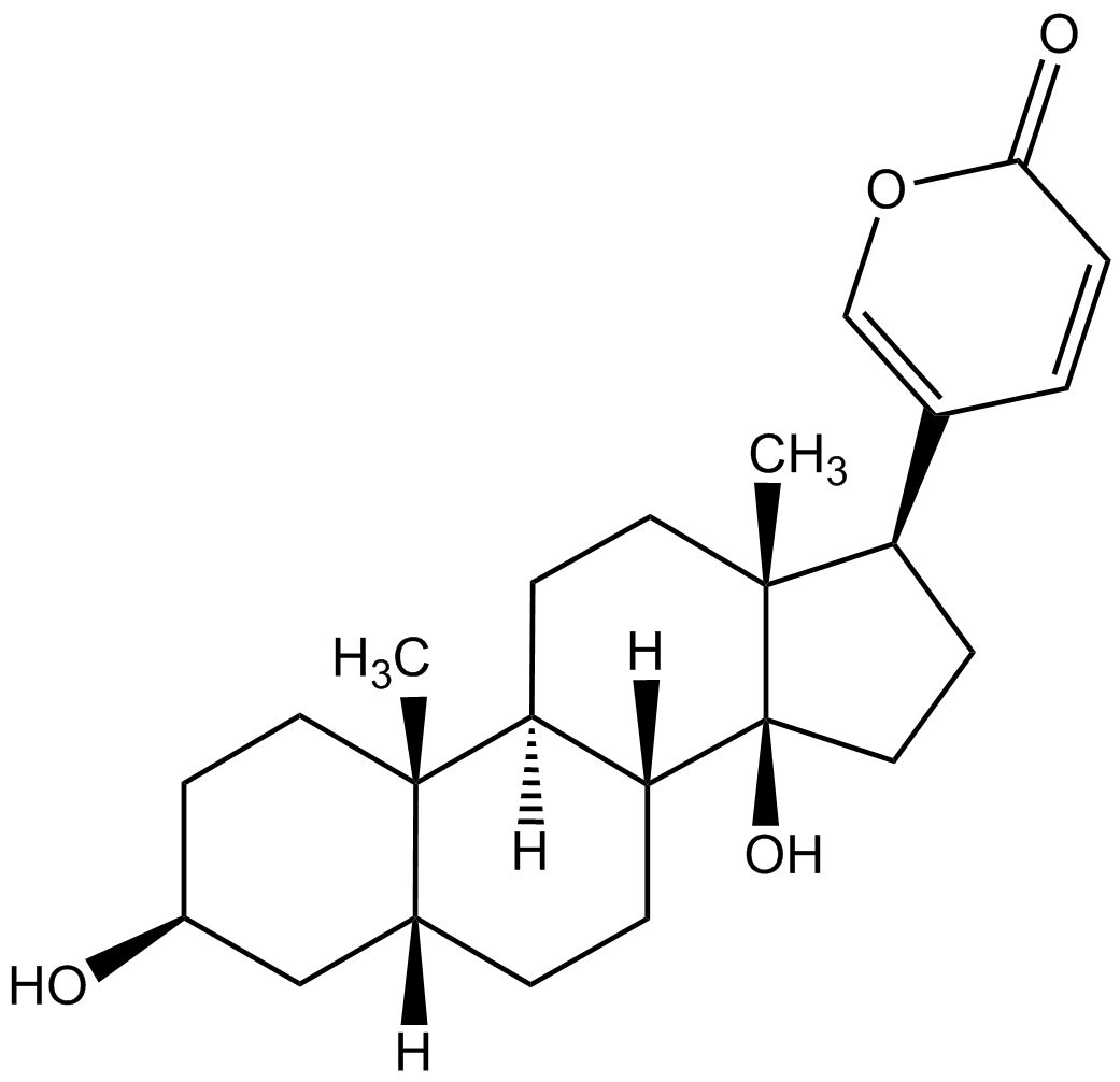 Bufalin phyproof® Referenzsubstanz | PhytoLab