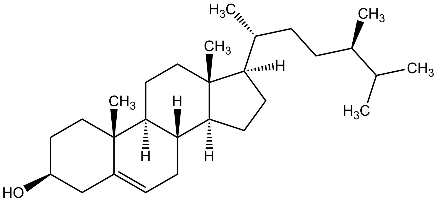 Campesterol phyproof® Referenzsubstanz | PhytoLab