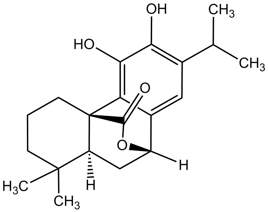 Carnosol phyproof® Referenzsubstanz | PhytoLab
