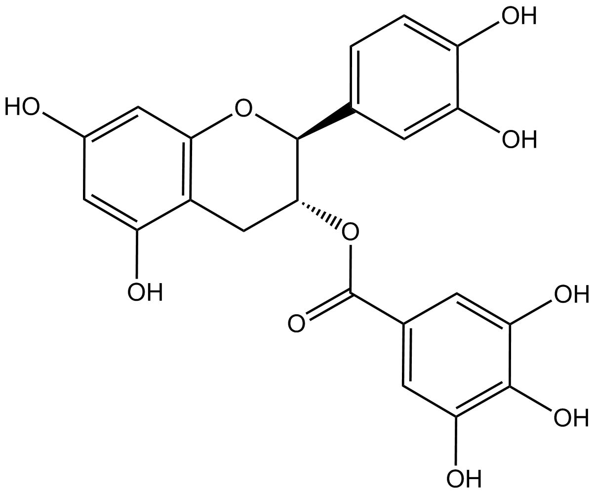 (-)-Catechin 3-gallate phyproof® Reference Substance | PhytoLab