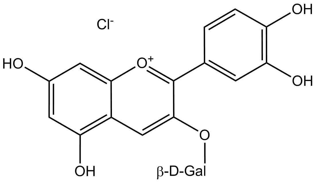 Cyanidin-3-galactosidchlorid phyproof® Referenzsubstanz | PhytoLab