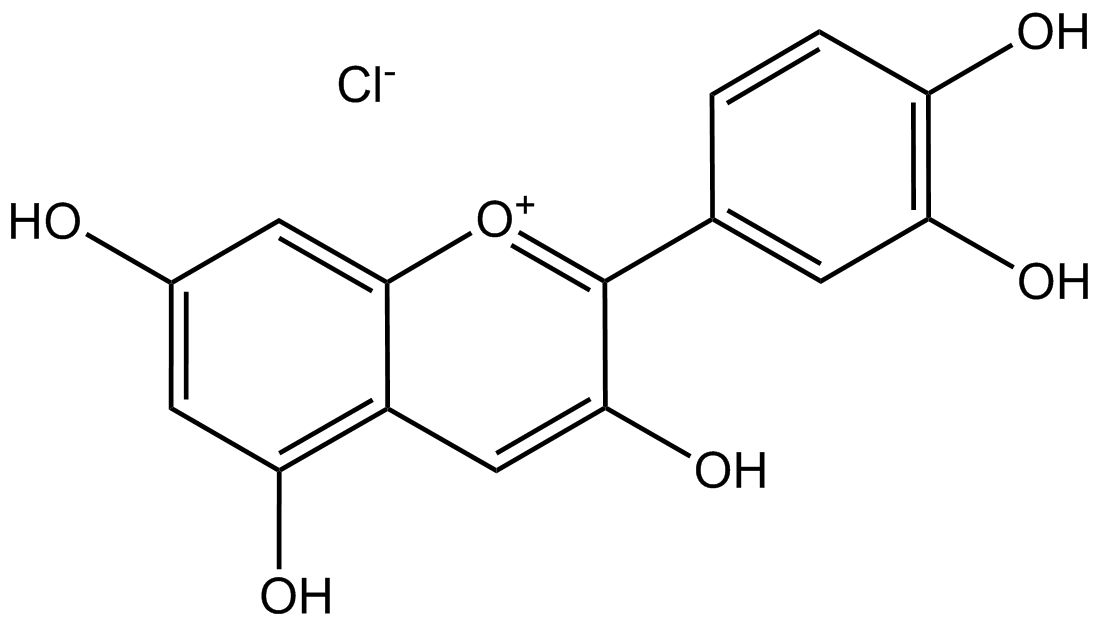 Cyanidinchlorid phyproof® Referenzsubstanz | PhytoLab