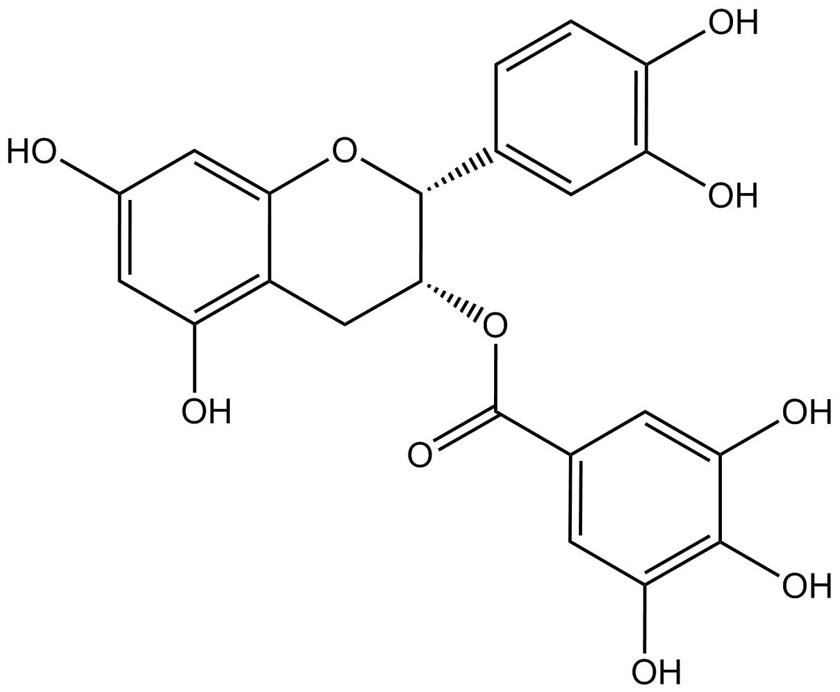 (-)-Epicatechin-3-gallat phyproof® Referenzsubstanz | PhytoLab