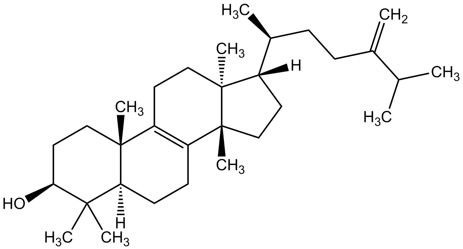 Euphorbol phyproof® Referenzsubstanz | PhytoLab