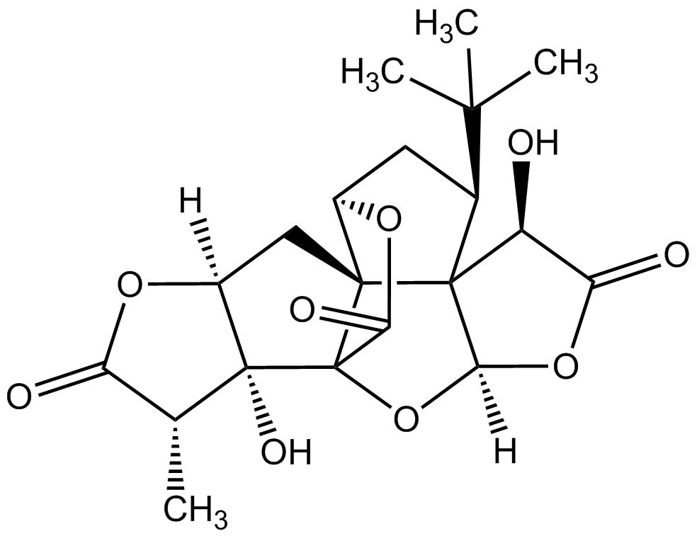 Ginkgolide A phyproof® Reference Substance | PhytoLab Ginkgolide A phyproof® Reference Substance | PhytoLab