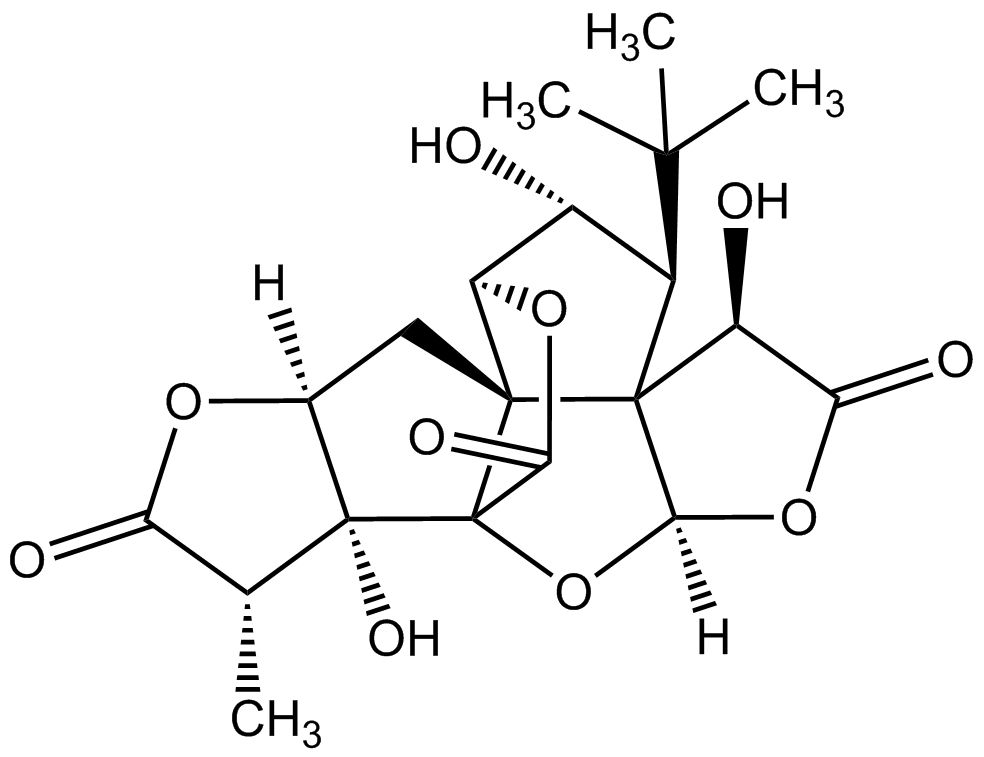 Ginkgolid J phyproof® Referenzsubstanz | PhytoLab