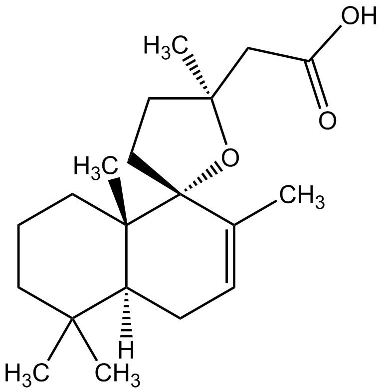 Grindelic acid phyproof® Reference Substance | PhytoLab