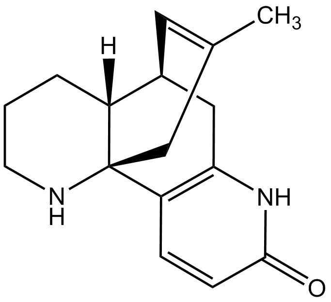 Huperzin B phyproof® Referenzsubstanz | PhytoLab
