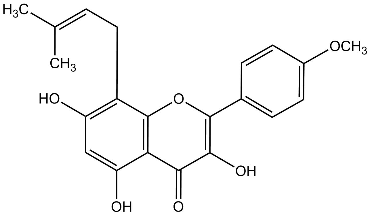 Icaritin phyproof® Referenzsubstanz | PhytoLab