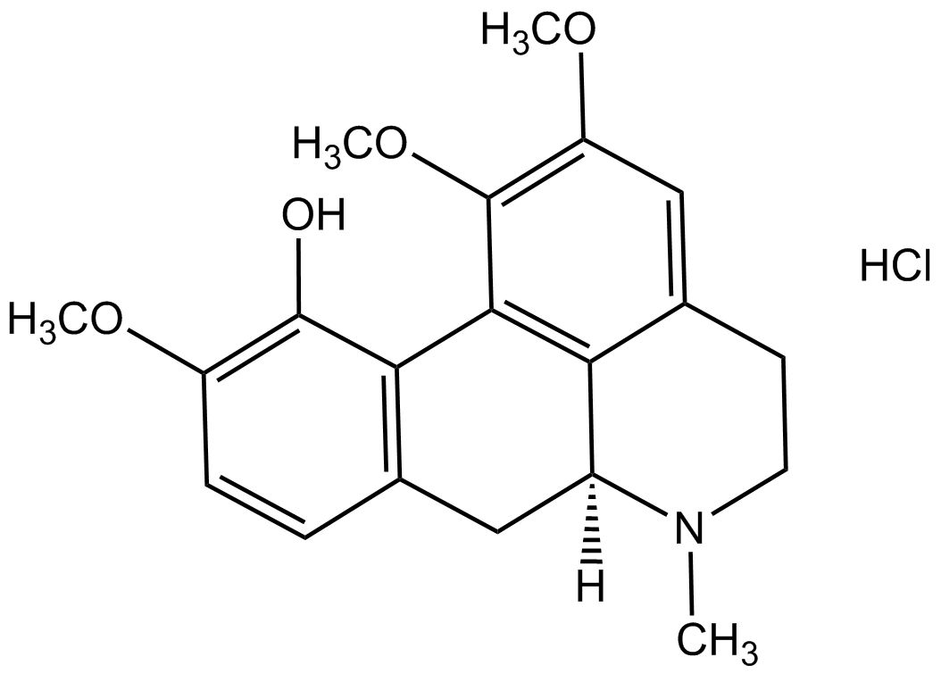 (+)-Isocorydine hydrochloride phyproof® Reference Substance | PhytoLab