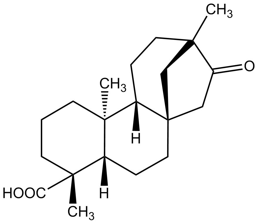 Isosteviol phyproof® Referenzsubstanz | PhytoLab
