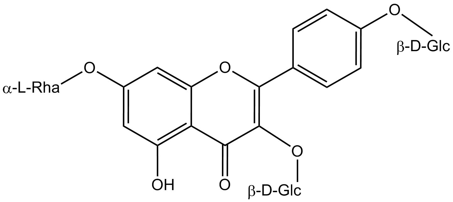 Kaempferol 3,4'-diglucoside 7-rhamnoside phyproof® Reference Substance | PhytoLab