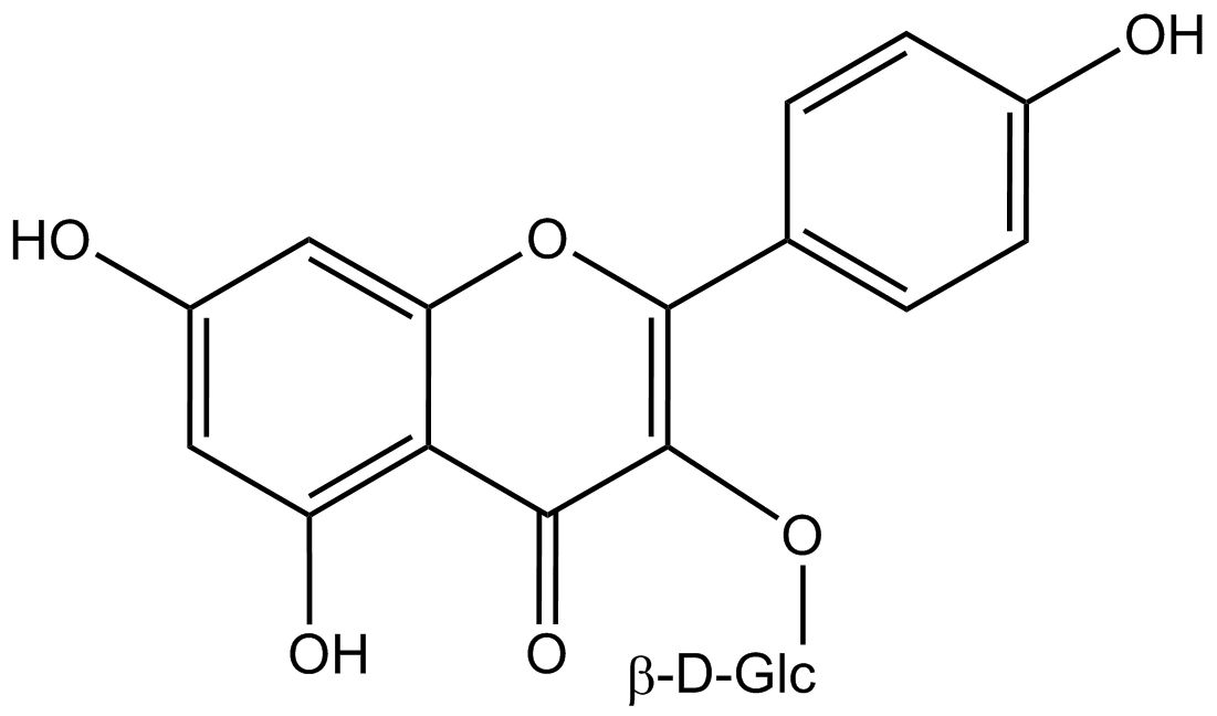 Kaempferol-3-glucosid phyproof® Referenzsubstanz | PhytoLab