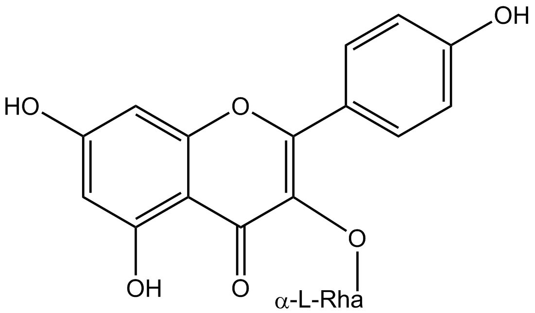 Kaempferol 3-rhamnoside phyproof® Reference Substance | PhytoLab