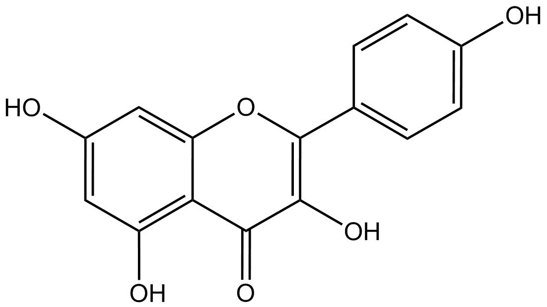 Kaempferol phyproof® Referenzsubstanz | PhytoLab