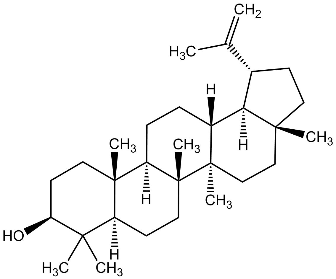 Lupeol phyproof® Reference Substance | PhytoLab