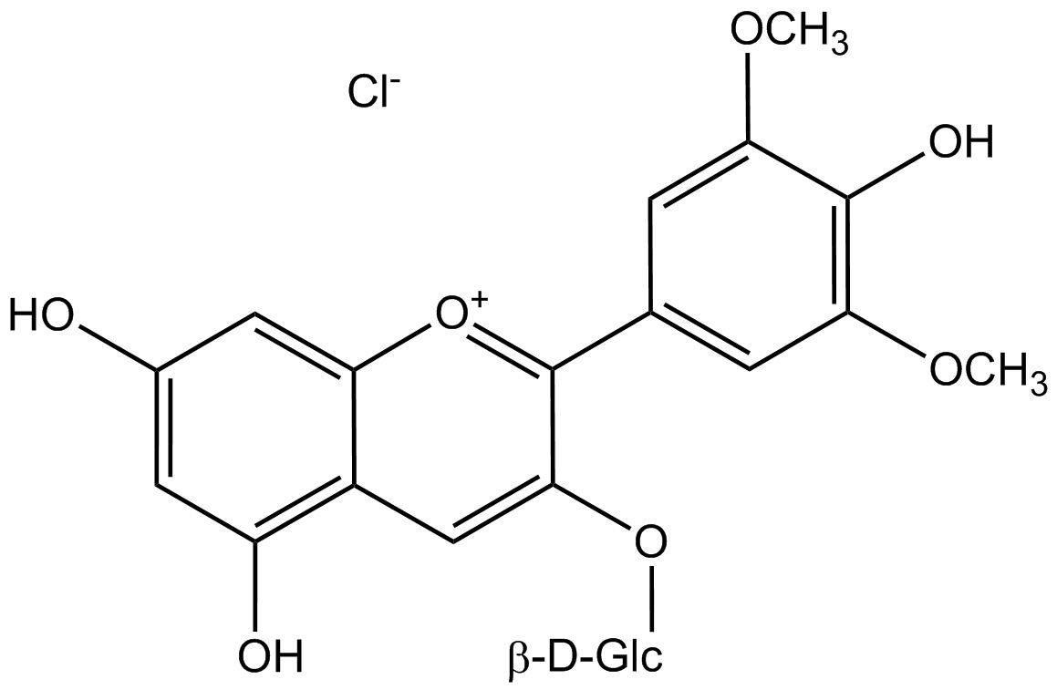 Malvidin-3-glucosidchlorid phyproof® Referenzsubstanz | PhytoLab