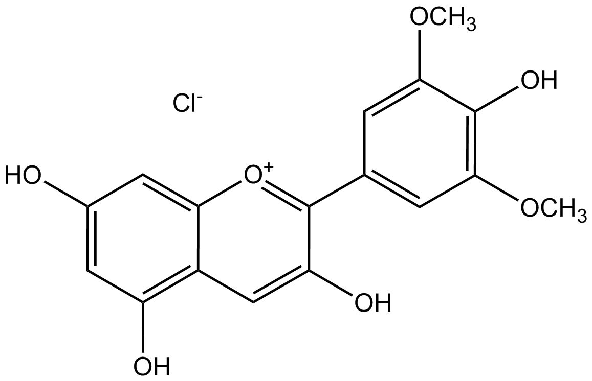 Malvidinchlorid phyproof® Referenzsubstanz | PhytoLab