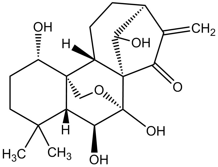Oridonin phyproof® Reference Substance | PhytoLab