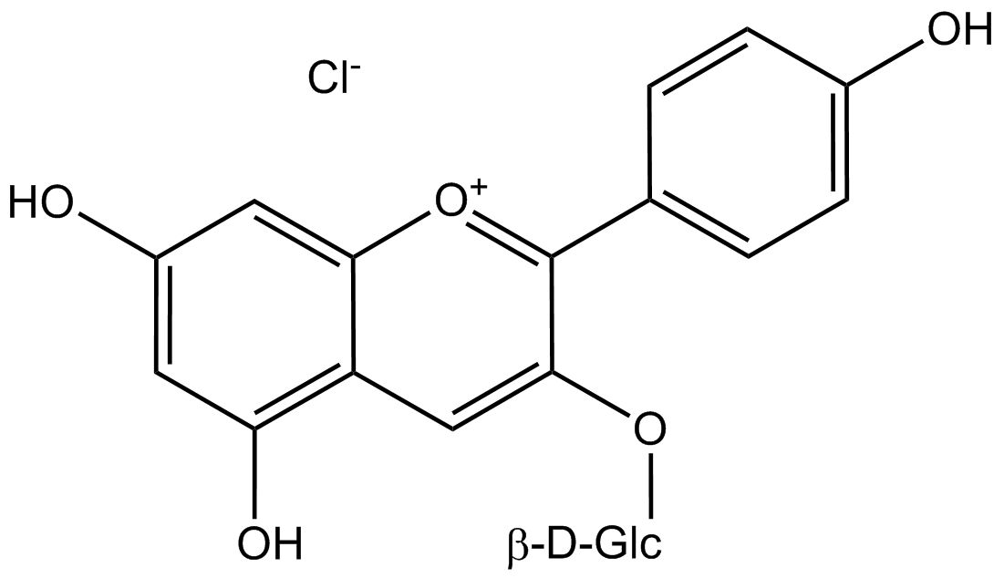 Pelargonidin 3-glucoside chloride phyproof® Reference Substance | PhytoLab