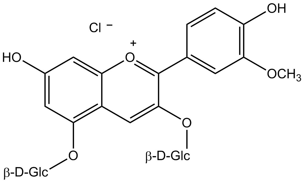 Peonidin-3,5-diglucosidchlorid phyproof® Referenzsubstanz | PhytoLab