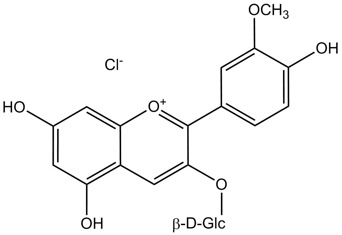 Chlorure de péonidine 3-glucoside phyproof® Reference Substance | PhytoLab