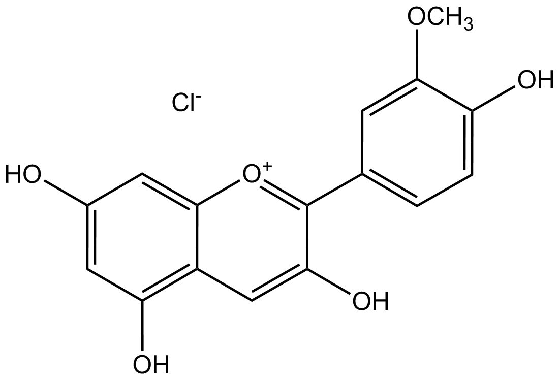 Peonidinchlorid phyproof® Referenzsubstanz | PhytoLab