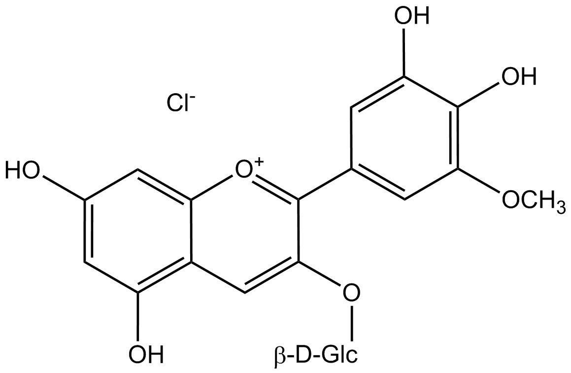 Petunidin-3-glucosidchlorid phyproof® Referenzsubstanz | PhytoLab