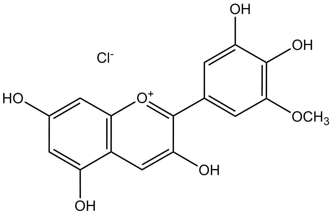 Petunidinchlorid phyproof® Referenzsubstanz | PhytoLab