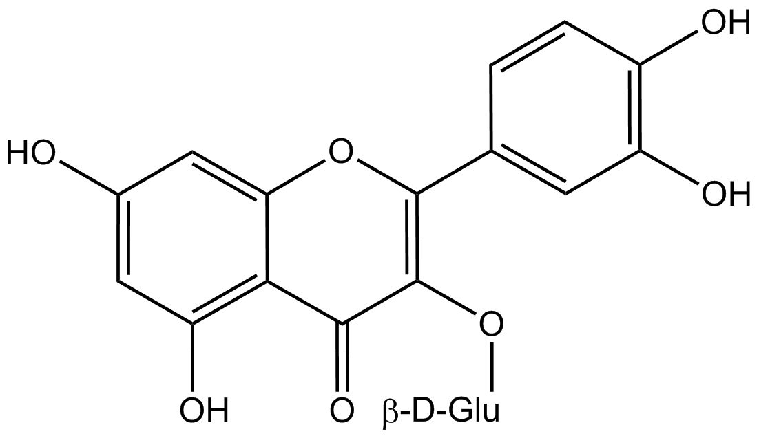 Quercetin 3-glucuronide phyproof® Reference Substance | PhytoLab