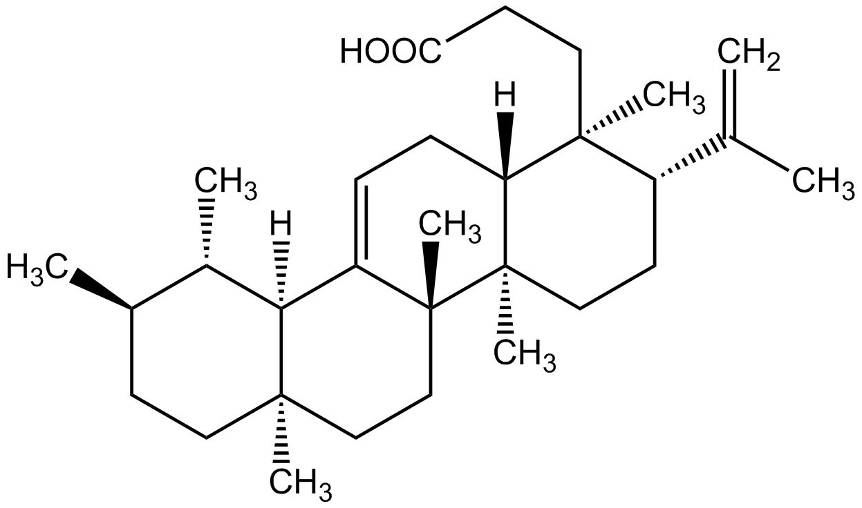 Roburic acid phyproof® Reference Substance | PhytoLab