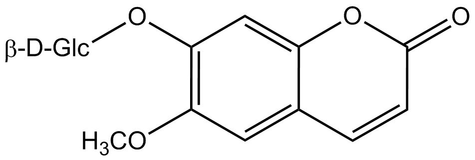 Scopolin phyproof® Referenzsubstanz | PhytoLab