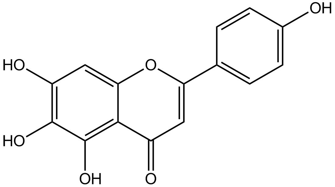 Scutellarein phyproof® Referenzsubstanz | PhytoLab
