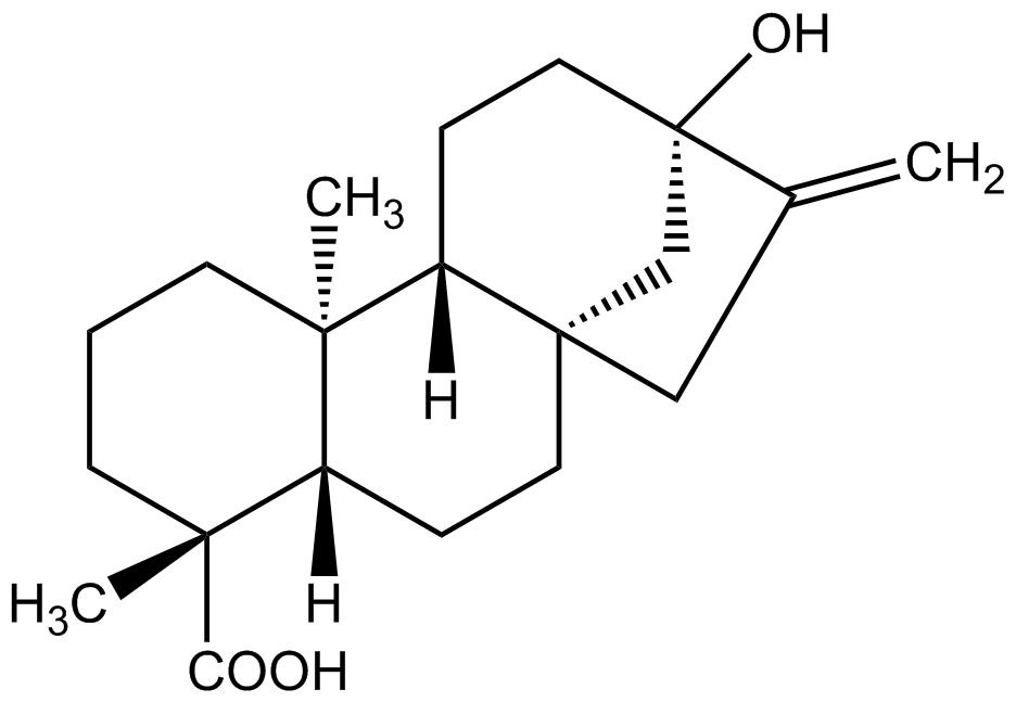 Steviol phyproof® Referenzsubstanz | PhytoLab
