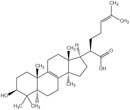 Trametenolic acid