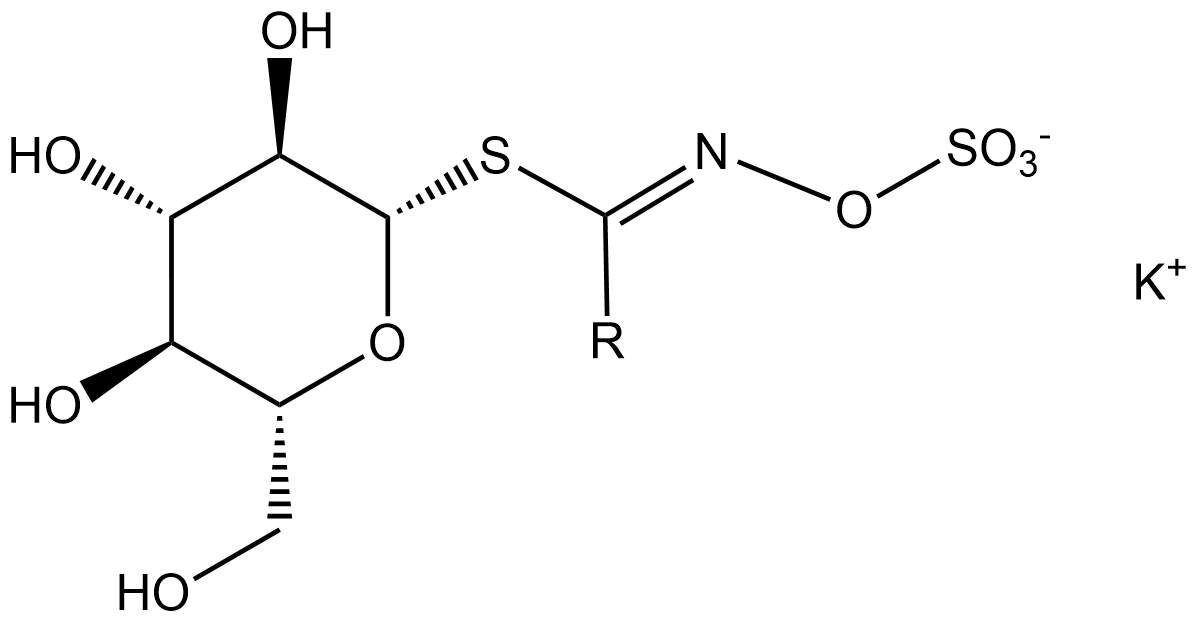 General structure of glucosinolates